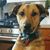 Linda Reeves-Ryan's profile image