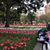 Maelyne Rider Schultz's profile image