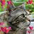Elsa Marie's profile image