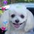 DeNice Spice's profile image