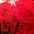 Eve Vanricanqueen's profile image