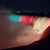 Carol Holliday's profile image