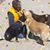 Brenda Forden's profile image