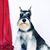 Terri Arnold's profile image