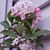 Diane Suetterlin Carty's profile image