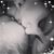 Trisha Rodgers's profile image