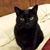 Valerie Kline's profile image