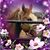 Christy Estok's profile image