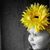 Tammie Hartfield's profile image