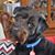 Renee Barnhouse-Kayser's profile image