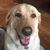 Bryan Belue's profile image
