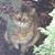 Kevin Milakovic's profile image