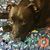 Jennifer Lasher Clendenon's profile image