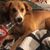 Georgia Ann Powe's profile image