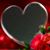 Elsie Haskins's profile image