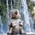 Lisa Davison's profile image