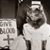 Anne Forgit Gray's profile image