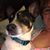 Jodi Louise Rutenberg's profile image