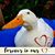 Jenni Taylor's profile image