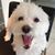 Peggy Datoli's profile image