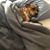 Pam O'Deen-Pishler's profile image