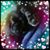 Darcy Pringle's profile image