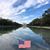 Donna Sauter's profile image