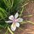 Leah Johnson's profile image