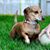 Joann Quarles's profile image