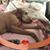 Caroll Blumreich Mealy's profile image
