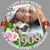 Desiree Lacey's profile image