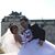 Maryam Hashemi's profile image