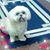 Pauline Caylor's profile image