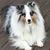 Beth Lucky Seigler's profile image
