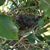 Marianne K Hoppel's profile image