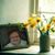Deborah Adams Merrick's profile image
