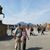 Debra Brewer's profile image