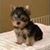 Luna Marlenne Espinoza's profile image