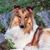Jennifer Reinert's profile image