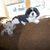 Melody Gravich Staffaroni's profile image