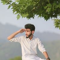 Levi Bias's profile image