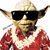 Ikaika Ragragola-Lenchanko's profile image