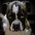 Deanna Taylor's profile image