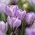 Ann Nienow Bowen's profile image