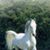Evie Van Auken's profile image