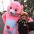 Stefanie Knorr's profile image