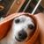 Liz McNaboe's profile image