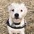 Lucy Shinkle's profile image