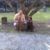 Laura Schachter Freas's profile image
