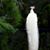 Susan Bevis's profile image